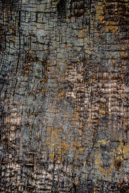 Eski pürüzlü ve yanmış ahşap doku arkaplanı