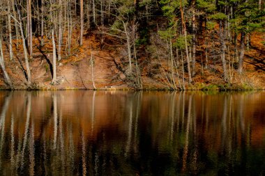Göl kıyısında boş bank ve sonbahar ağaçları