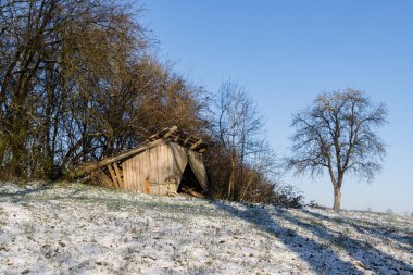 Arka planda ağaçlarla birlikte kışın çökmüş.