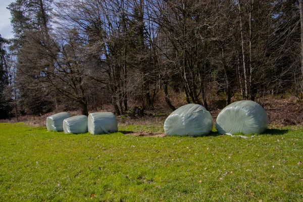 Rolled up hay bales wrapped in plastic foil beside a forest