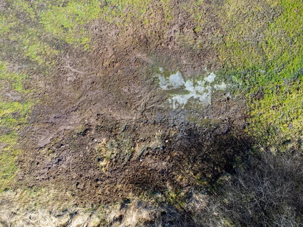 Вид Воздуха Повреждение Кабана Лугу — стоковое фото