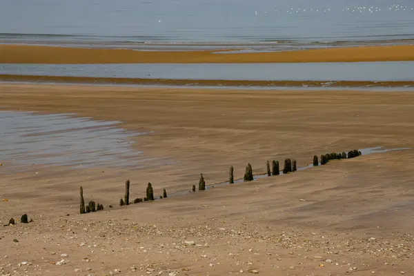 Oude Houten Pilaren Een Rij Aan Het Strand — Stockfoto