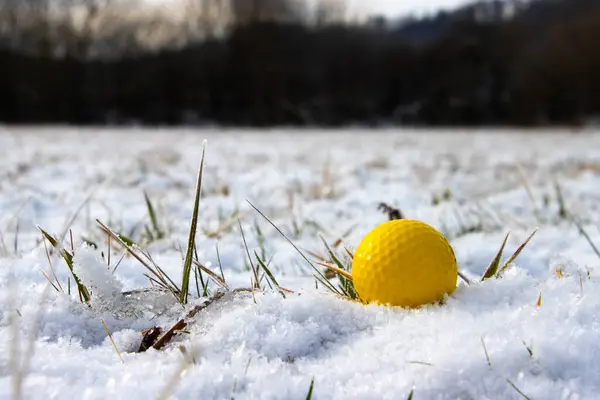 Yellow golf ball in the snow