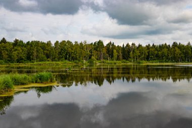 Almanya 'da Pfrunger Ried Gölü manzarası