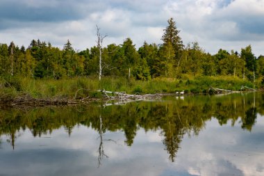 Almanya 'da Pfrunger Ried Gölü manzarası