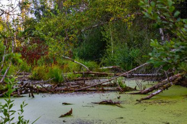 Pfrunger Ried, Almanya 'daki dağlık arazide manzara