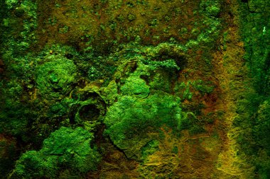 Görsel olarak ilginç olan soyut doku canlı yeşil ve toprak rengi gösteriyor, doğal elementleri çağrıştırıyor, organik desenler ve sanatsal cazibe. Tasarım projeleri ve arkaplanlar için ideal.