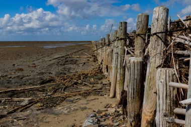 Yıpranmış ahşap kutuplar, canlı mavi bir gökyüzünün altında kumlu bir kıyıda doğal güzelliği ve kıyı yönetiminin esnekliğini yansıtan bir bariyer oluşturur..