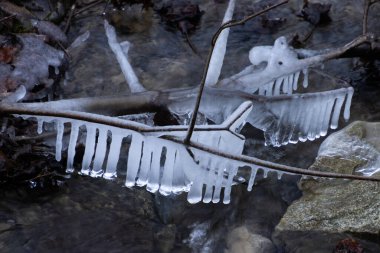 Kışın sığ bir derenin üzerindeki dallarda doğal buz oluşumlarının huzurlu bir tasviri..