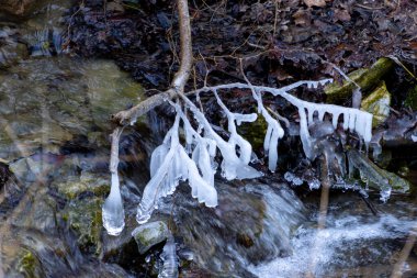 Kışın sığ bir derenin üzerindeki dallarda doğal buz oluşumlarının huzurlu bir tasviri..