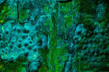 Yeşil ve mavi desenli bir yüzeyin sanatsal tasviri, karmaşık desenler ve röfleler sergiliyor, arka plan, doku ve sanat projeleri için mükemmel..