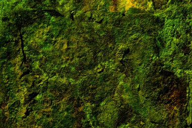 Yeşil ve kahverengi bir doğal yüzeye yakın dokuma detaylı organik desenler ve arka plan şekilleri sergiliyor..