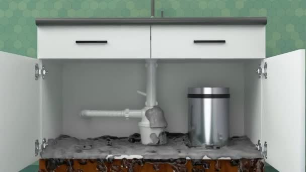 台所のキャビネットのシンクの漏出 配管パイプの問題 ビデオ映像について — ストック動画