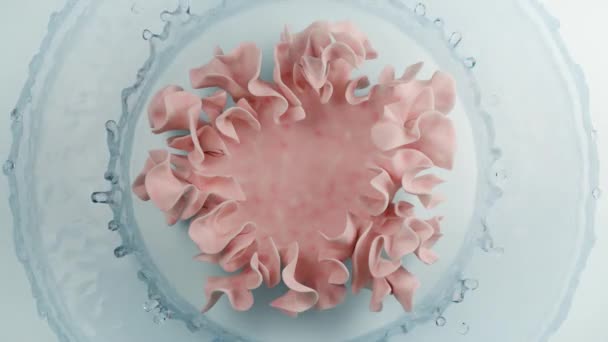 粉红色的珊瑚站在那里 周围环绕着水花飞溅 3D视频模拟美容 香水产品 — 图库视频影像