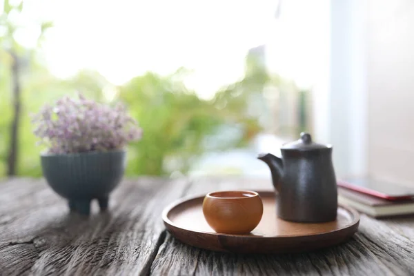 Tea Pot Tea Cup Mini Turtle Plant — Stock Photo, Image