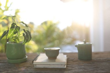 seramik yeşil çay fincanı ve yeşil antika çay demliği ve ahşap masa üzerindeki küçük bitkiler güneş ışığı altında.