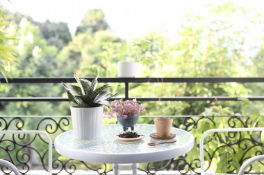 Tahta çay fincanında çay ve cam masada kurutulmuş çay yaprakları.