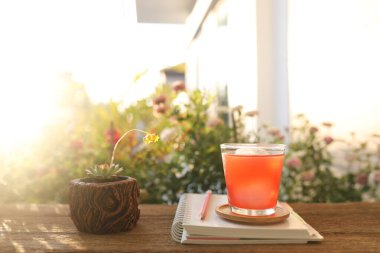 Havuç suyu, küçük kaktüs bitkisi ve ahşap masada defter günlüğü.