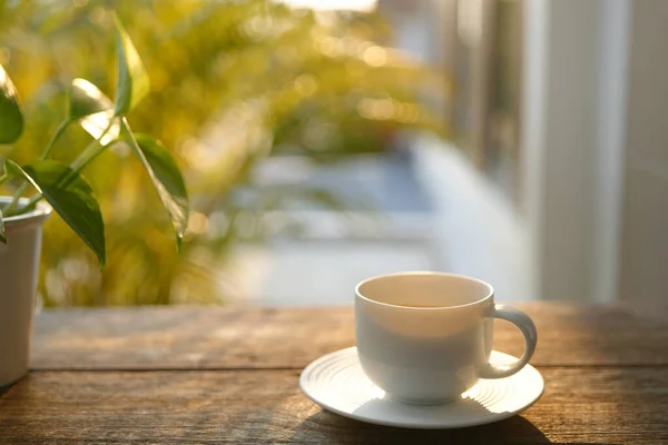 White coffee cup and plant pot on wooden table balcony outdoor