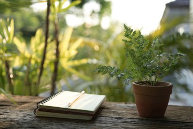 sarmal defter, kalem ve Victoria Fern saksısı ahşap masada yeşil sahneli.
