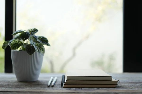 stock image plant pot and notebooks in front of clear windows