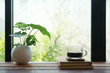 Cam bardakta kahve, bitkiler ve pencerenin önündeki defter yığınları.