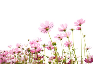 Eski buruşmuş gri kağıt dokusu