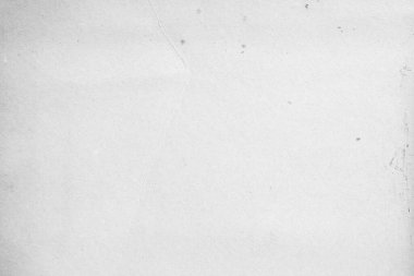 Küçük büyüyen kabak filizi bitkisi