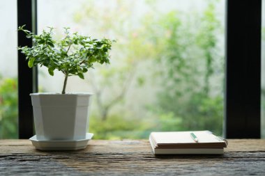 Pencerenin yanında kalem ve saksı bitkisi olan defter.