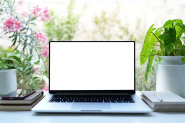 dizüstü bilgisayarlar ve saksı bitkisi olan defterler, çiçek arkaplanlı rahat çalışma alanı