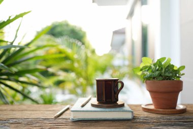 Kahve fincanı ve defter, kaplanmış Fittonia Albivenis, serin balkon manzaralı.