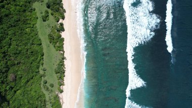 Bali, Endonezya - 11 Kasım 2022: Bali 'nin Turistik Çekim ve Yerleşkeleri