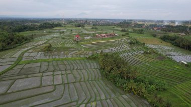 Bali, Endonezya - 11 Kasım 2022: Bali 'nin Turistik Çekim ve Yerleşkeleri