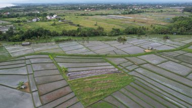 Bali, Endonezya - 11 Kasım 2022: Bali 'nin Turistik Çekim ve Yerleşkeleri