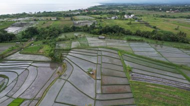 Bali, Endonezya - 11 Kasım 2022: Bali 'nin Turistik Çekim ve Yerleşkeleri