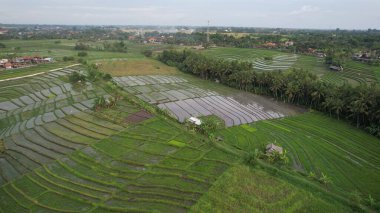 Bali, Endonezya - 11 Kasım 2022: Bali 'nin Turistik Çekim ve Yerleşkeleri