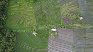 Bali, Endonezya - 11 Kasım 2022: Bali 'nin Turistik Çekim ve Yerleşkeleri