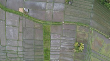 Bali, Endonezya - 11 Kasım 2022: Bali 'nin Turistik Çekim ve Yerleşkeleri