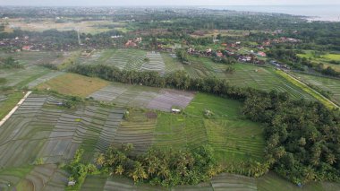 Bali, Endonezya - 11 Kasım 2022: Bali 'nin Turistik Çekim ve Yerleşkeleri