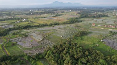 Bali, Endonezya - 11 Kasım 2022: Bali 'nin Turistik Çekim ve Yerleşkeleri