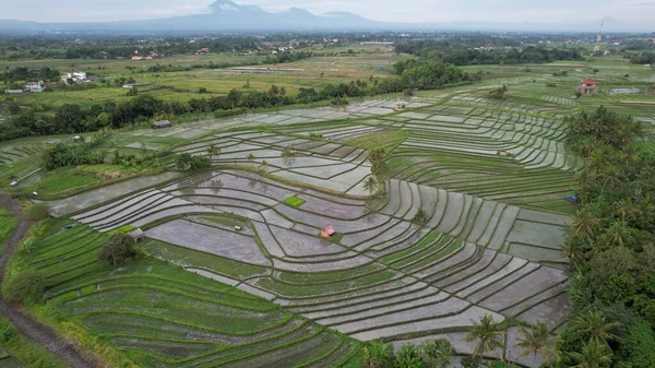 stock image Bali, Indonesia - November 11, 2022: The Tourist Attractions and Landmarks of Bali