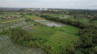 Bali, Endonezya - 11 Kasım 2022: Bali 'nin Turistik Çekim ve Yerleşkeleri