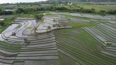 Bali, Endonezya - 11 Kasım 2022: Bali 'nin Turistik Çekim ve Yerleşkeleri