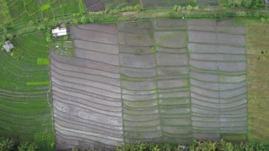 Bali, Endonezya - 11 Kasım 2022: Bali 'nin Turistik Çekim ve Yerleşkeleri