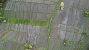 Bali, Endonezya - 11 Kasım 2022: Bali 'nin Turistik Çekim ve Yerleşkeleri