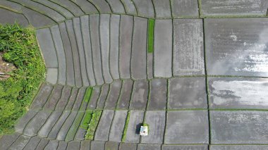 Bali, Endonezya - 11 Kasım 2022: Bali 'nin Turistik Çekim ve Yerleşkeleri