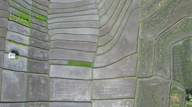 Bali, Endonezya - 11 Kasım 2022: Bali 'nin Turistik Çekim ve Yerleşkeleri