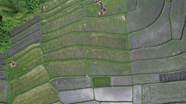 Bali, Endonezya - 11 Kasım 2022: Bali 'nin Turistik Çekim ve Yerleşkeleri