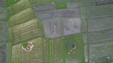 Bali, Endonezya - 11 Kasım 2022: Bali 'nin Turistik Çekim ve Yerleşkeleri