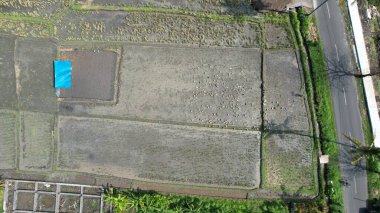 Bali, Endonezya - 11 Kasım 2022: Bali 'nin Turistik Çekim ve Yerleşkeleri